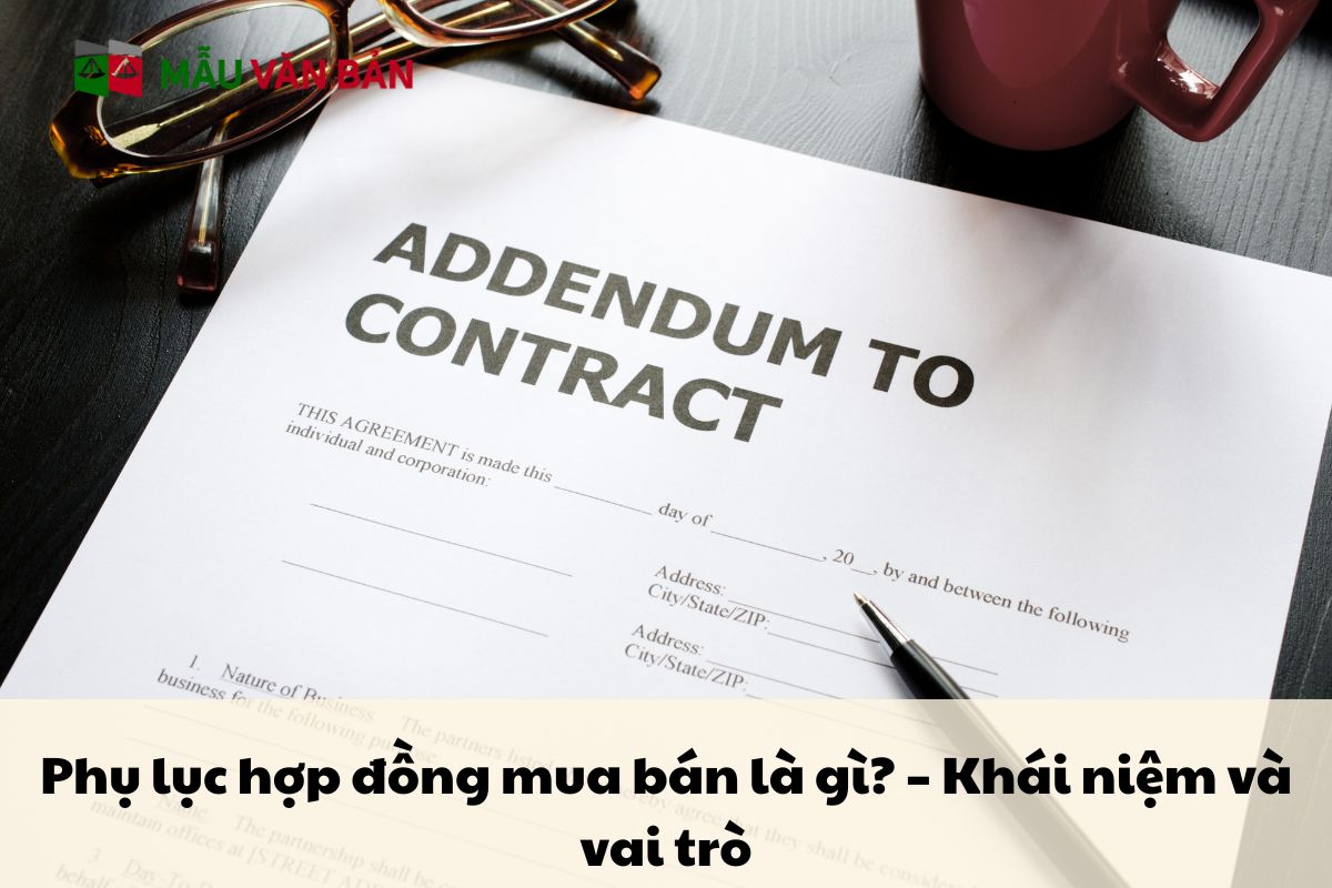 Phụ lục hợp đồng mua bán là gì.jpg