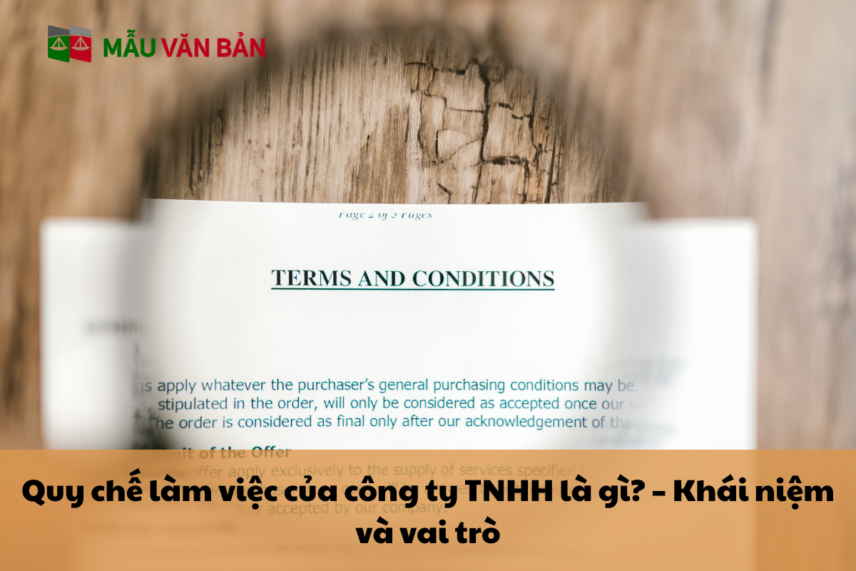 Quy chế làm việc của công ty TNHH là gì_ – Khái niệm và vai trò.png