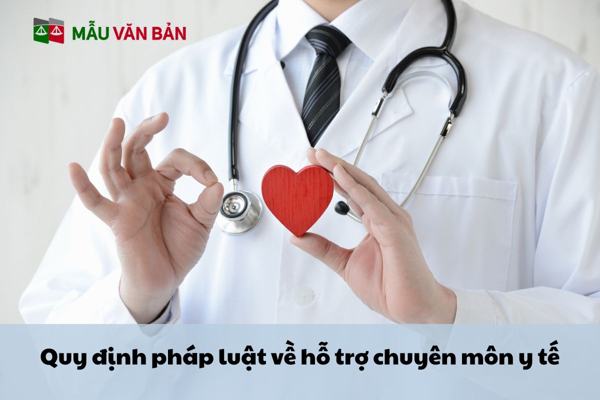 Quy định pháp luật về hỗ trợ chuyên môn y tế.jpg