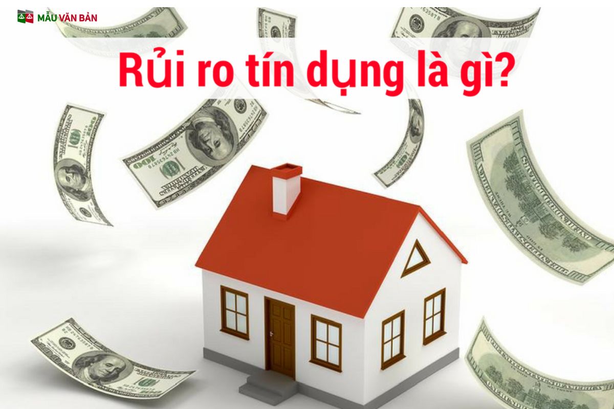 RỦI RO TÍN DỤNG.jpg
