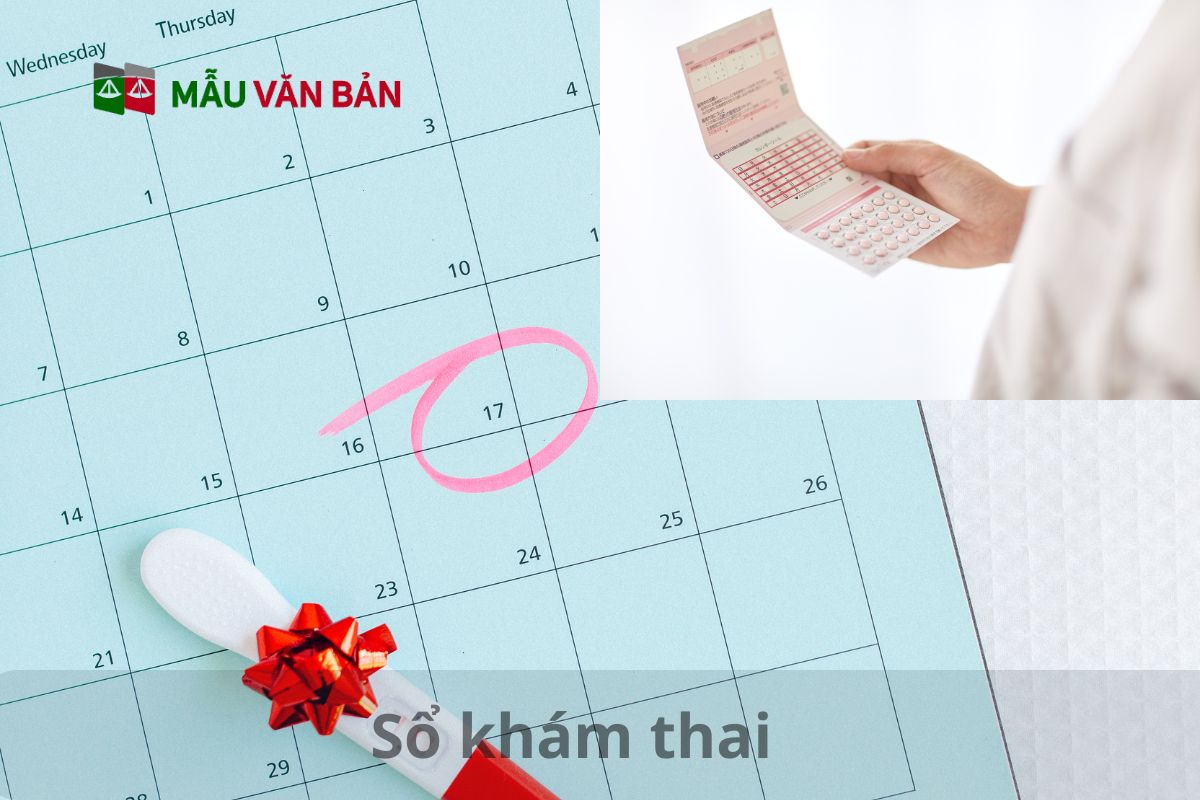 Sổ khám thai (3).jpg