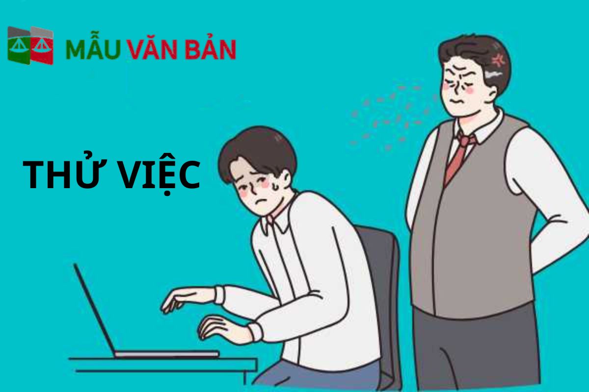 THỬ VIỆC.jpg