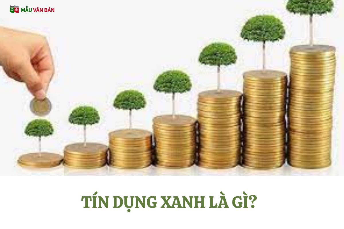 TÍN DỤNG XANH (2).jpg