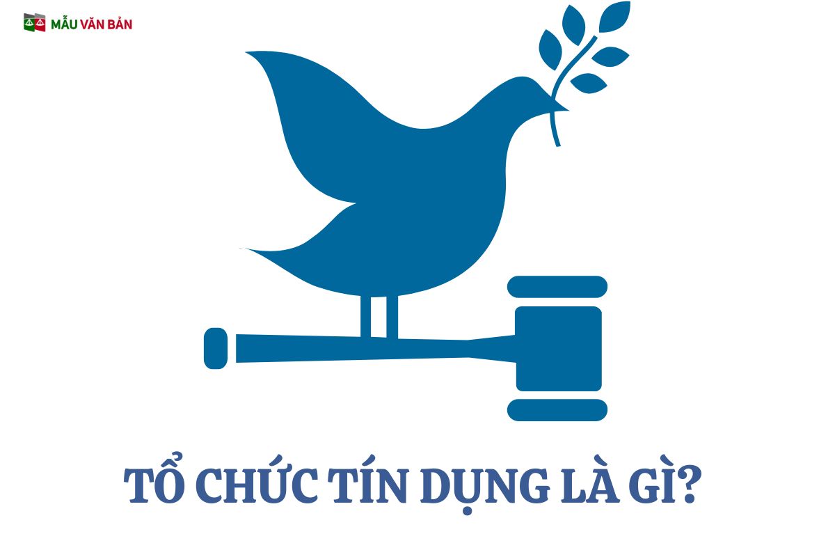 TỔ CHỨC TÍN DỤNG (3).jpg