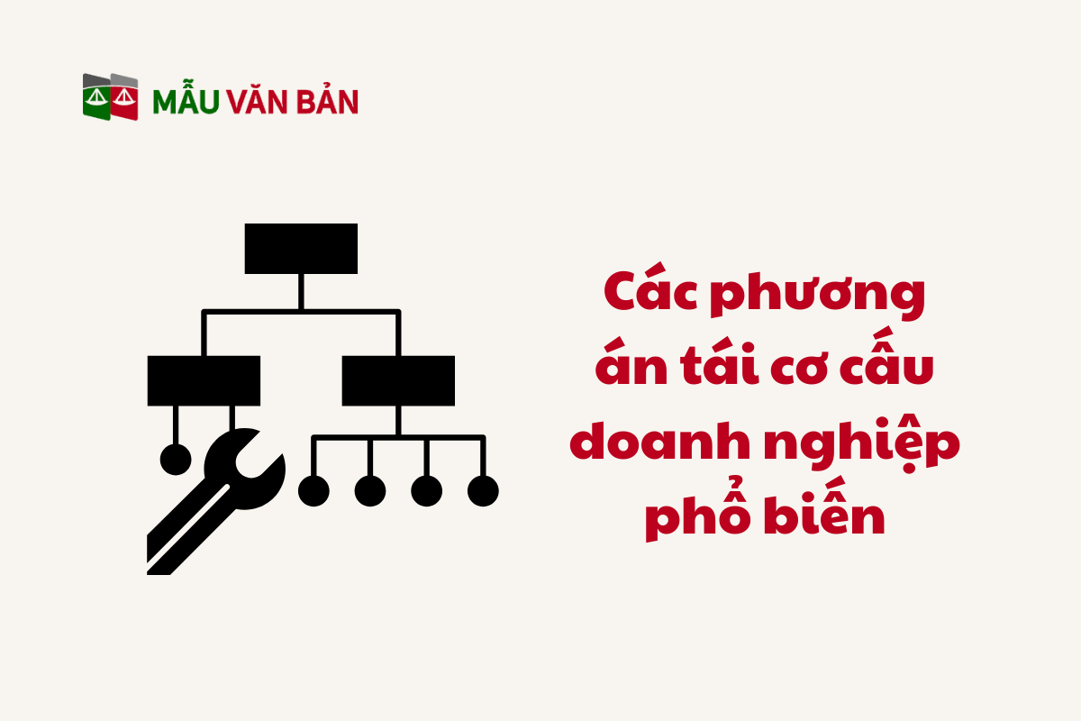 Tái Cơ Cấu Doanh Nghiệp_3.png