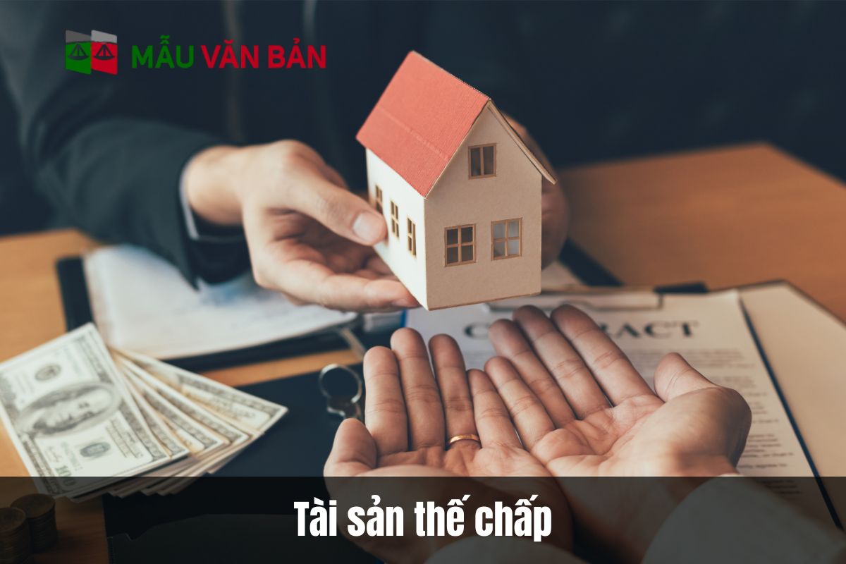 Tài sản thế chấp