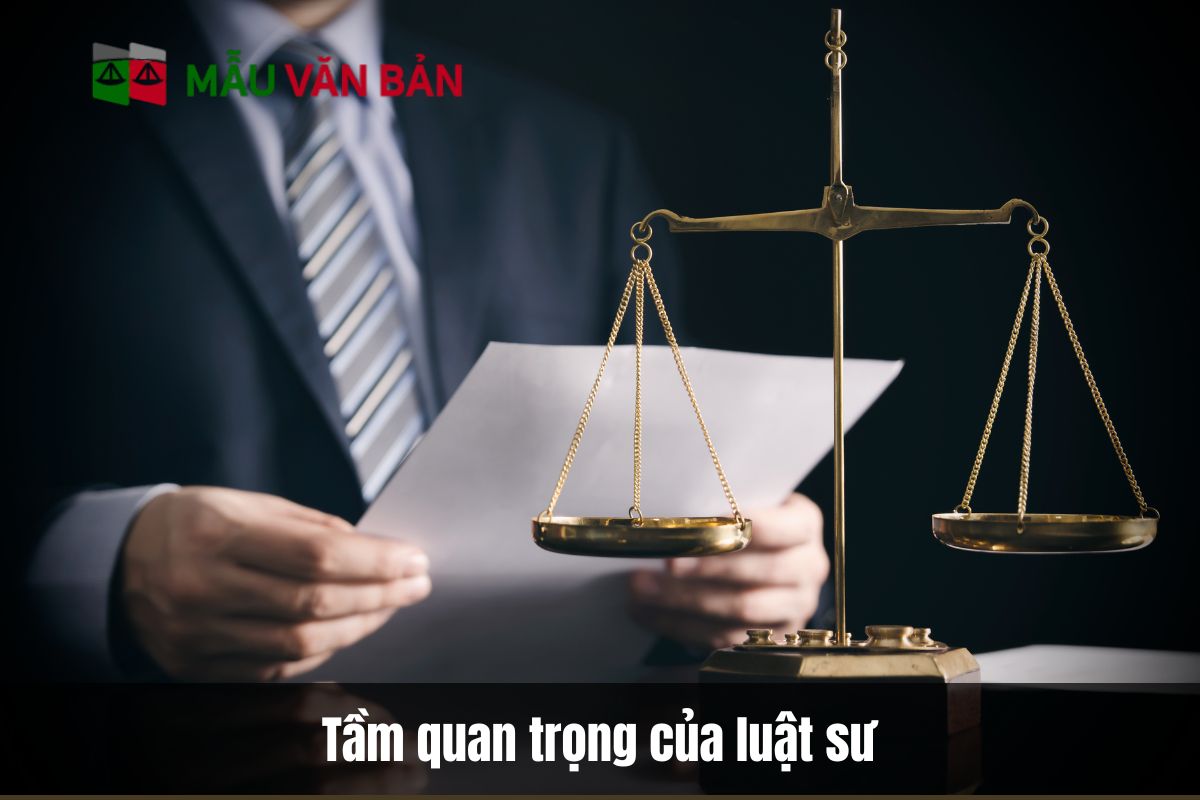 Tầm quan trọng của luật sư tư vấn đất đai trong bối cảnh pháp lý hiện nay