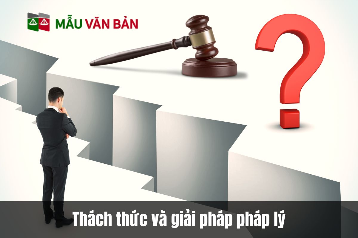 Thách thức và giải pháp pháp lý cho tổ chức tài chính vi mô