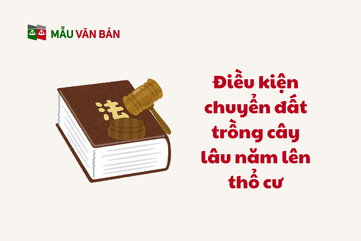 Thủ Tục Lên Thổ Cư Đất Trồng Cây Lâu Năm_3.png