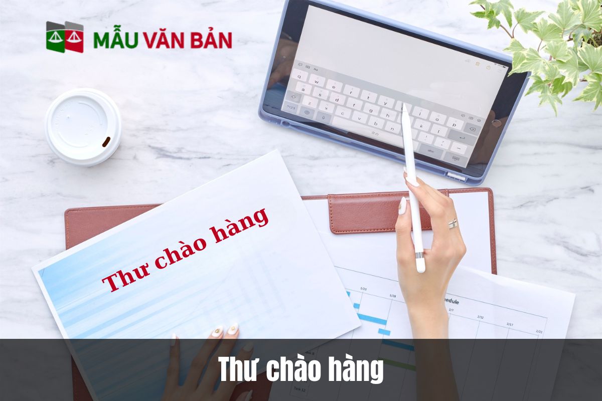 Thư chào hàng
