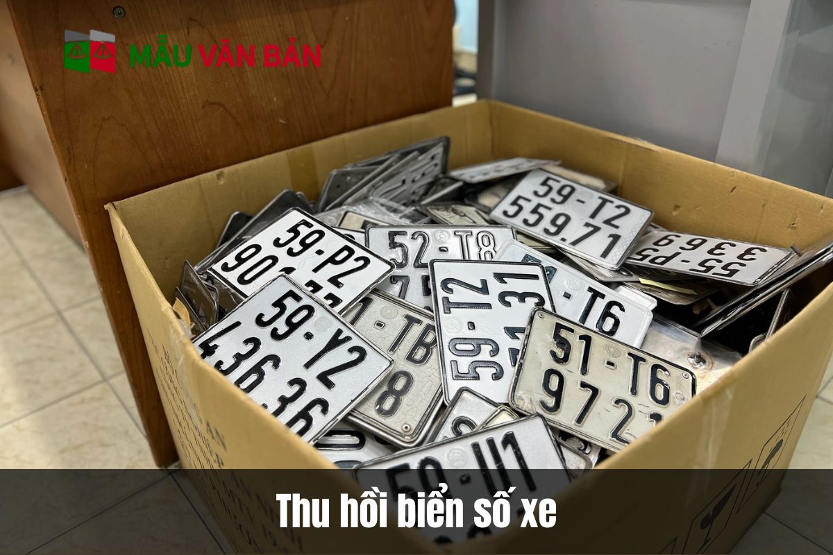 Thu hồi biển số xe