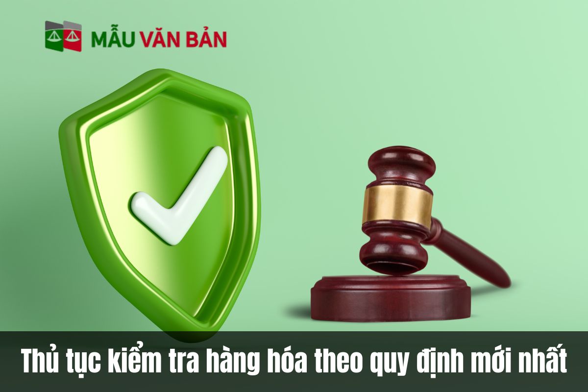 Thủ tục kiểm tra hàng hóa theo quy định mới nhất
