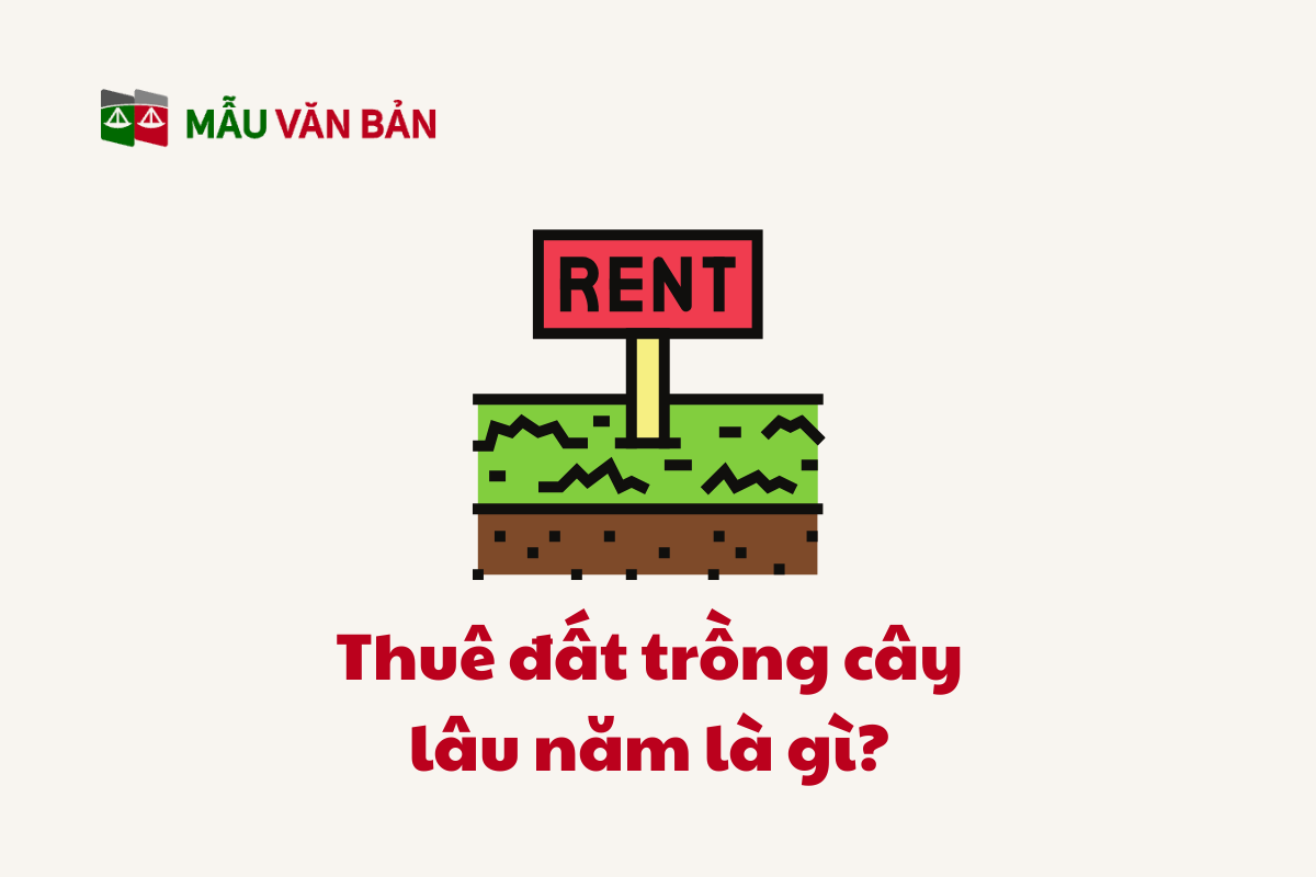Thuê Đất Trồng Cây Lâu Năm_1.png