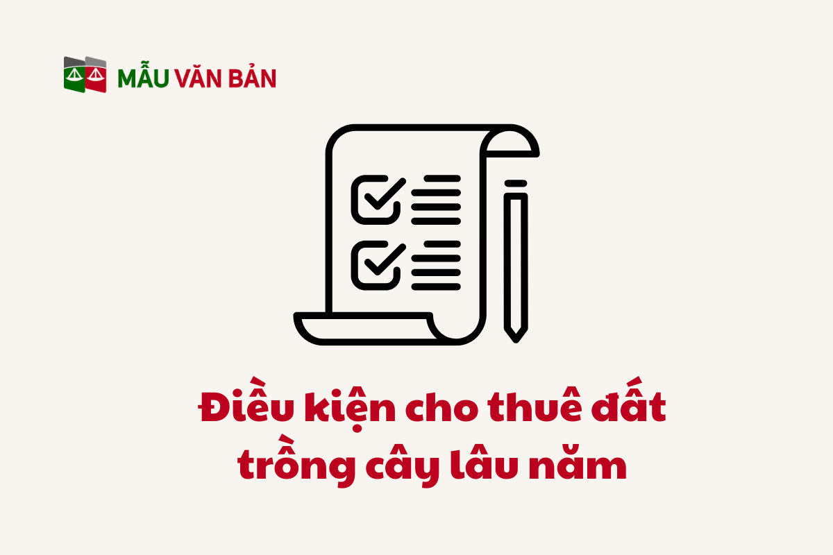Thuê Đất Trồng Cây Lâu Năm_3.png