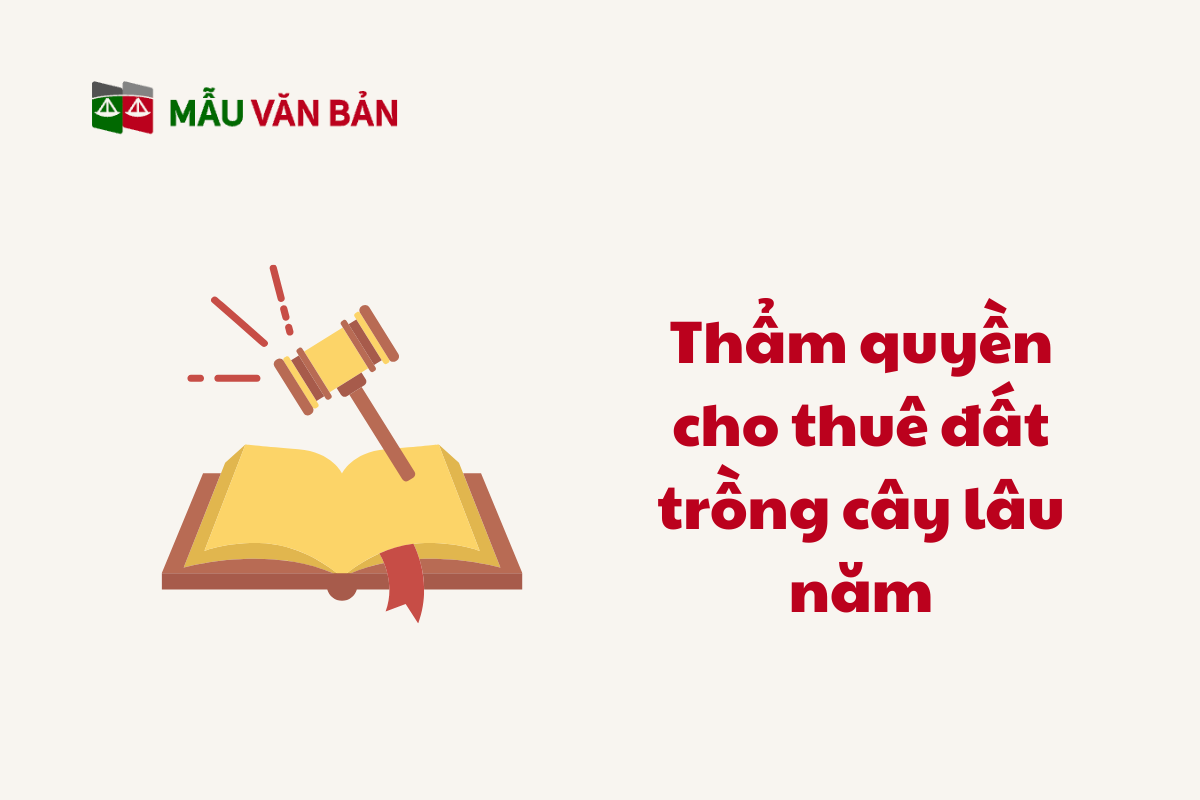 Thuê Đất Trồng Cây Lâu Năm_5.png