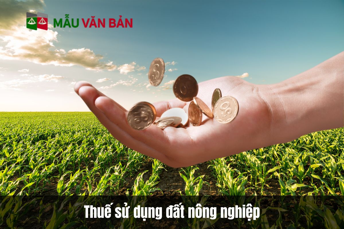 Thuế sử dụng đất nông nghiệp