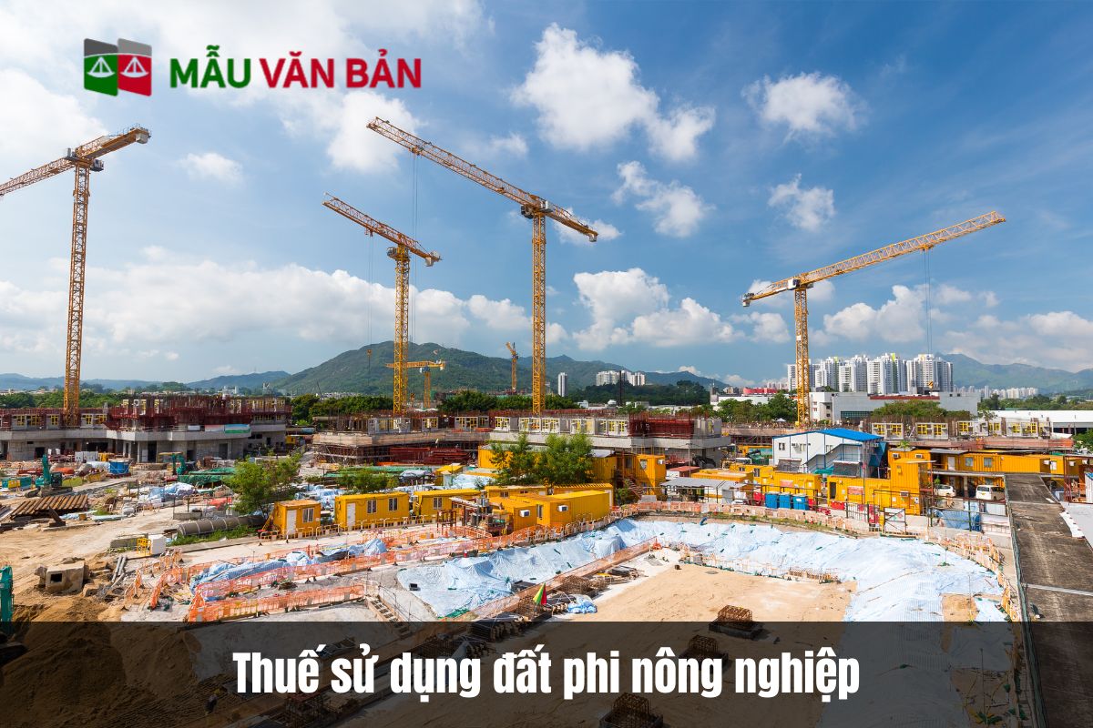 Thuế sử dụng đất phi nông nghiệp