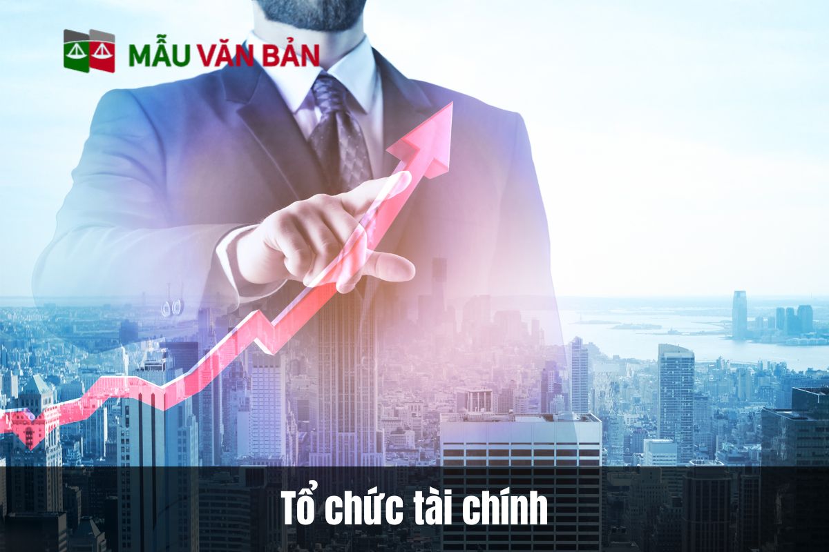 Tổ chức tài chính là gì?