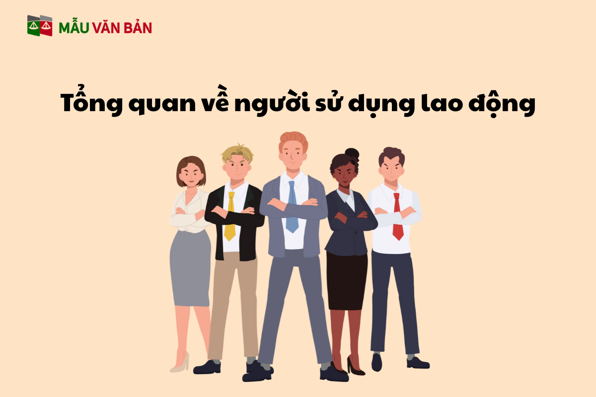Tổng quan về người sử dụng lao động.png