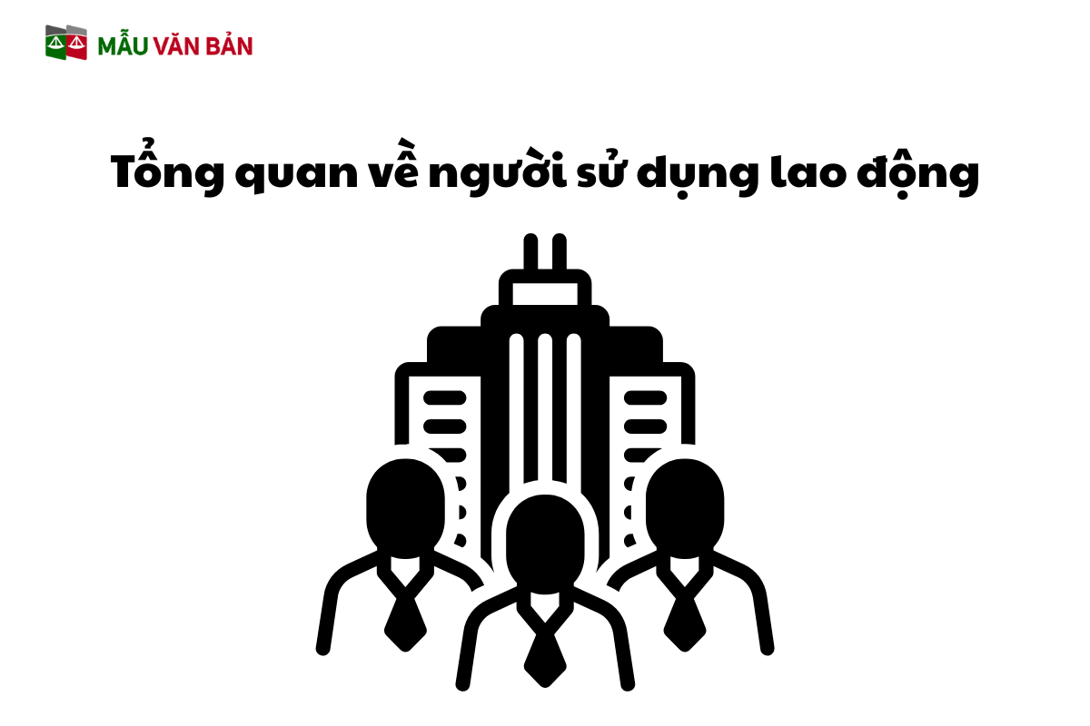 Tổng quan về người sử dụng lao động.png