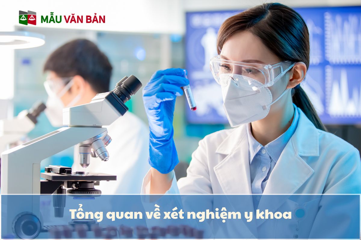 Tổng quan về xét nghiệm y khoa.jpg