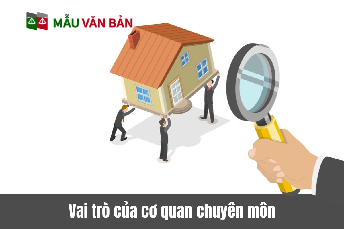 Vai trò của cơ quan chuyên môn