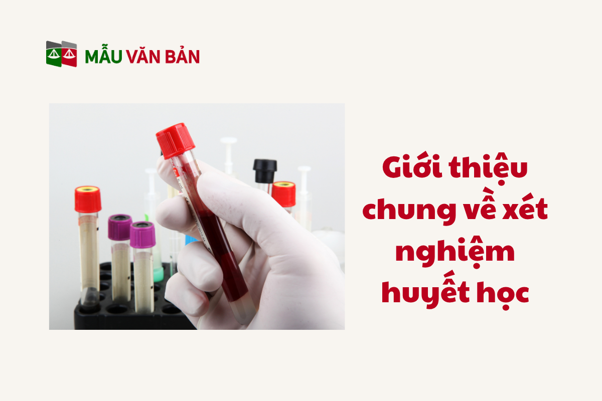 Xét Nghiệm Huyết Học_1.png