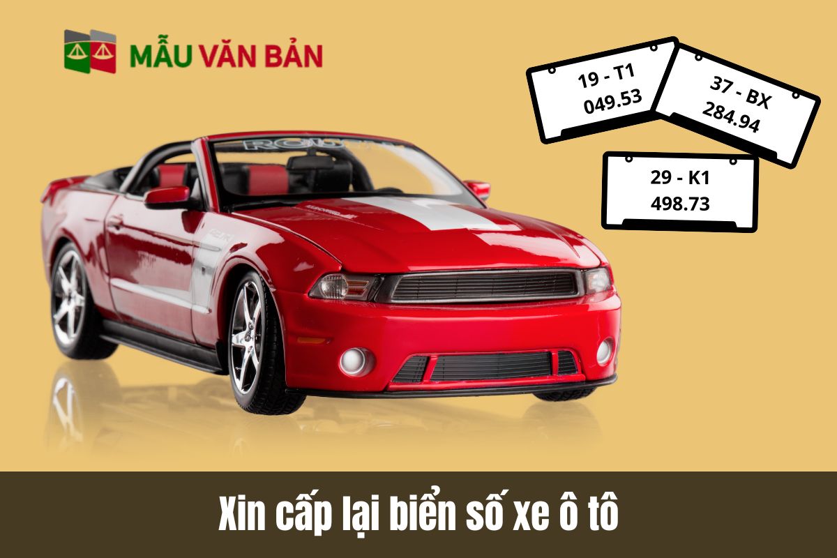 Xin cấp lại biển số ô tô