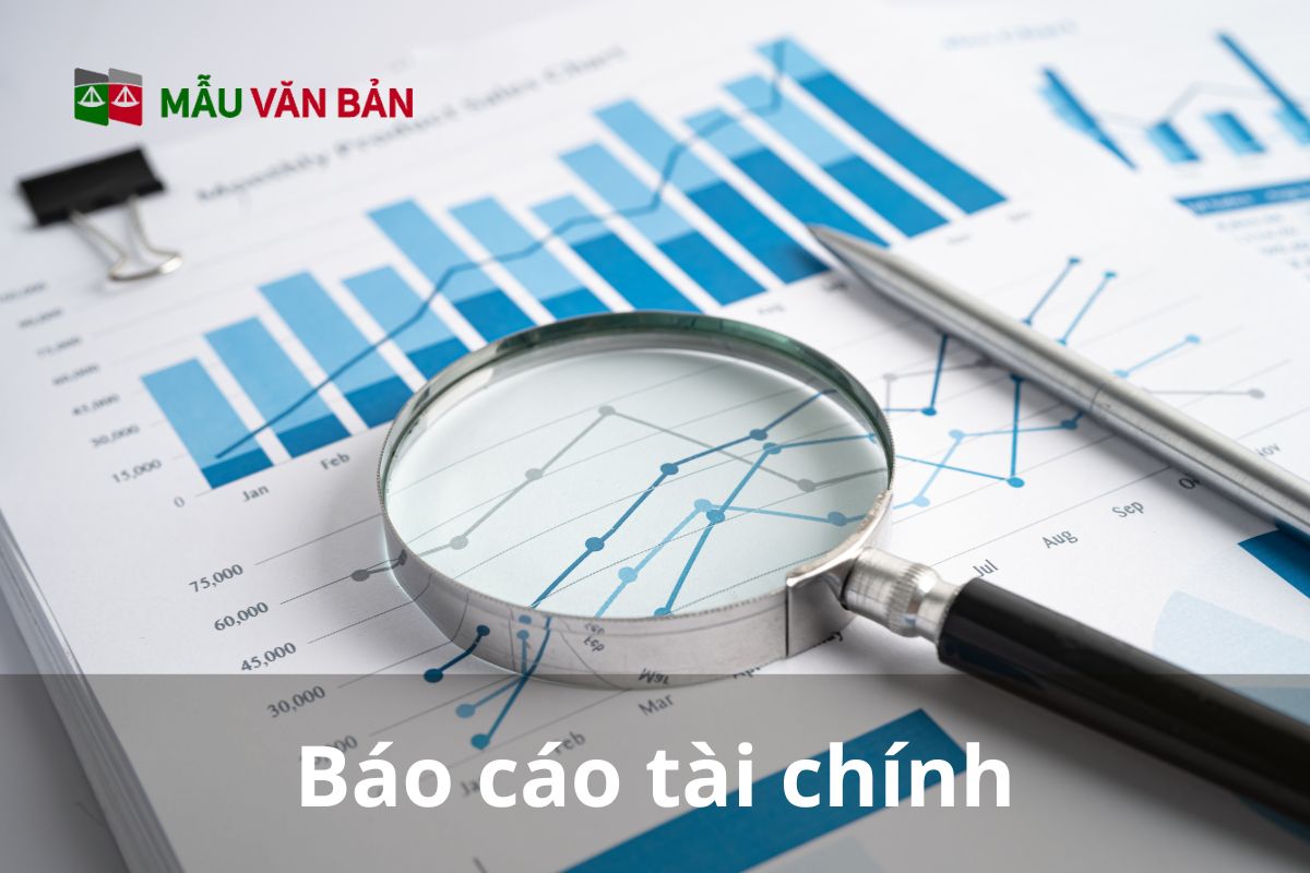 báo cáo tài chính.jpg