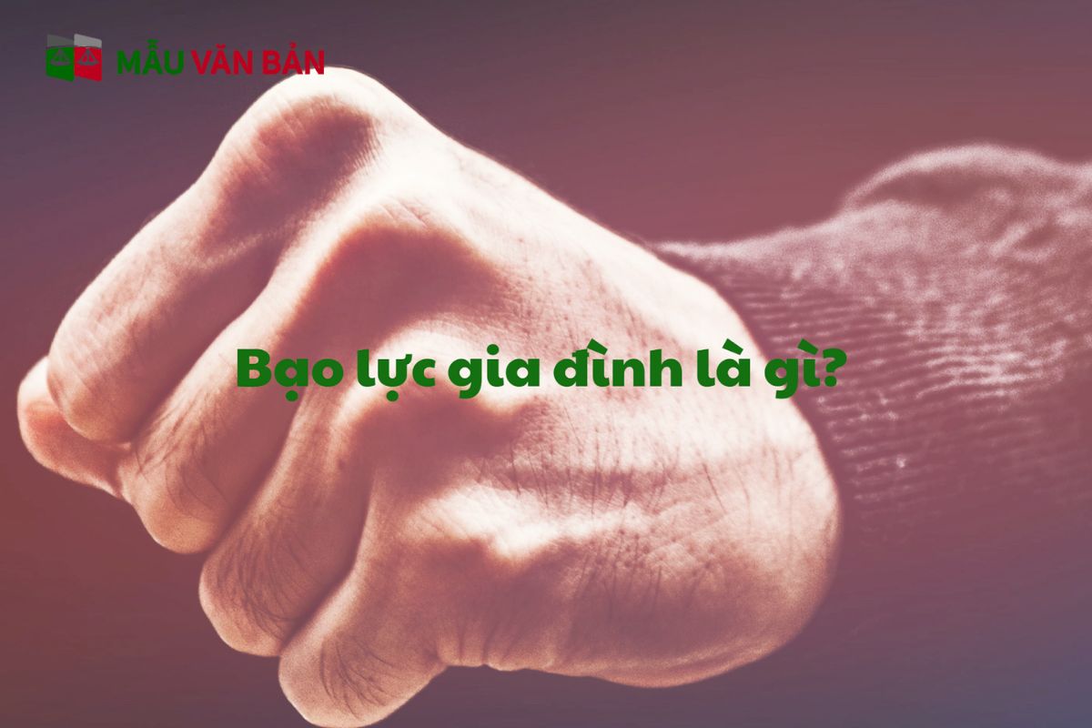 bạo lực gia đình 1.jpg