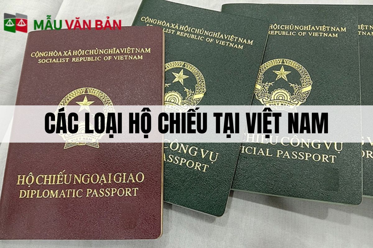 các loại hộ chiếu tại Việt Nam.jpg