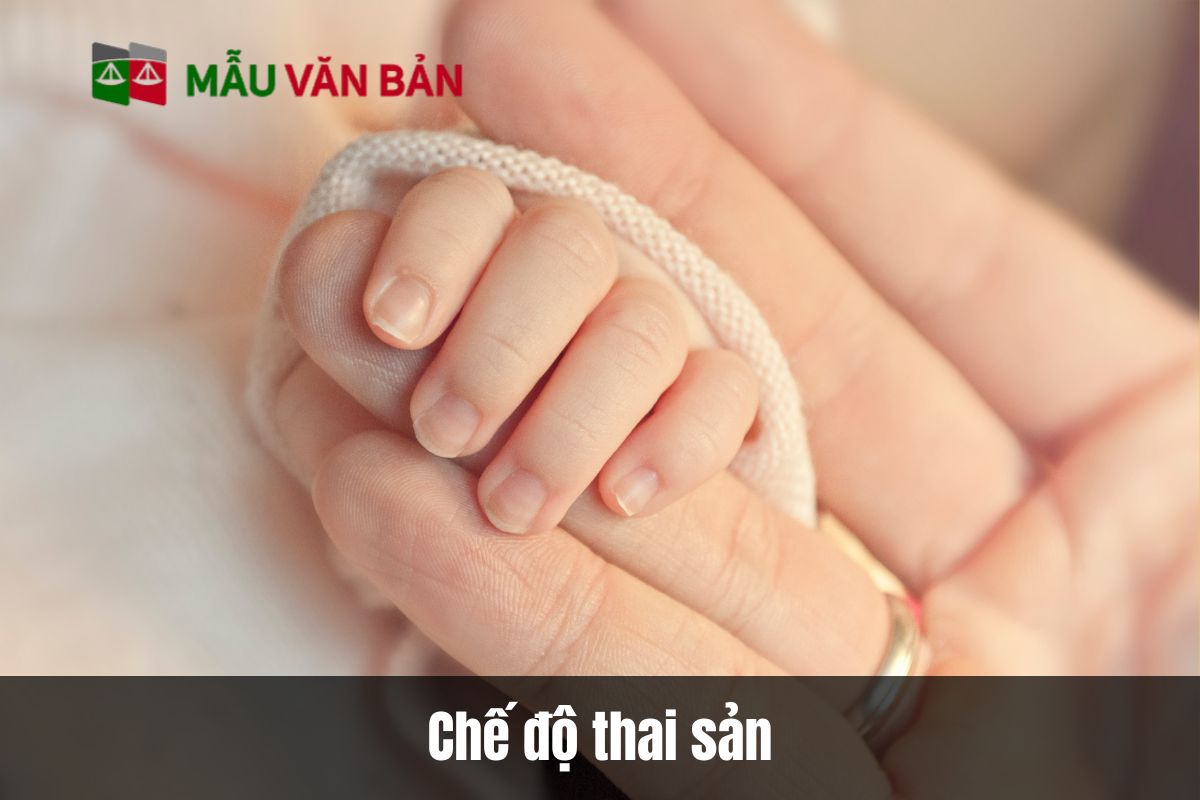 chế độ thai sản là gì?