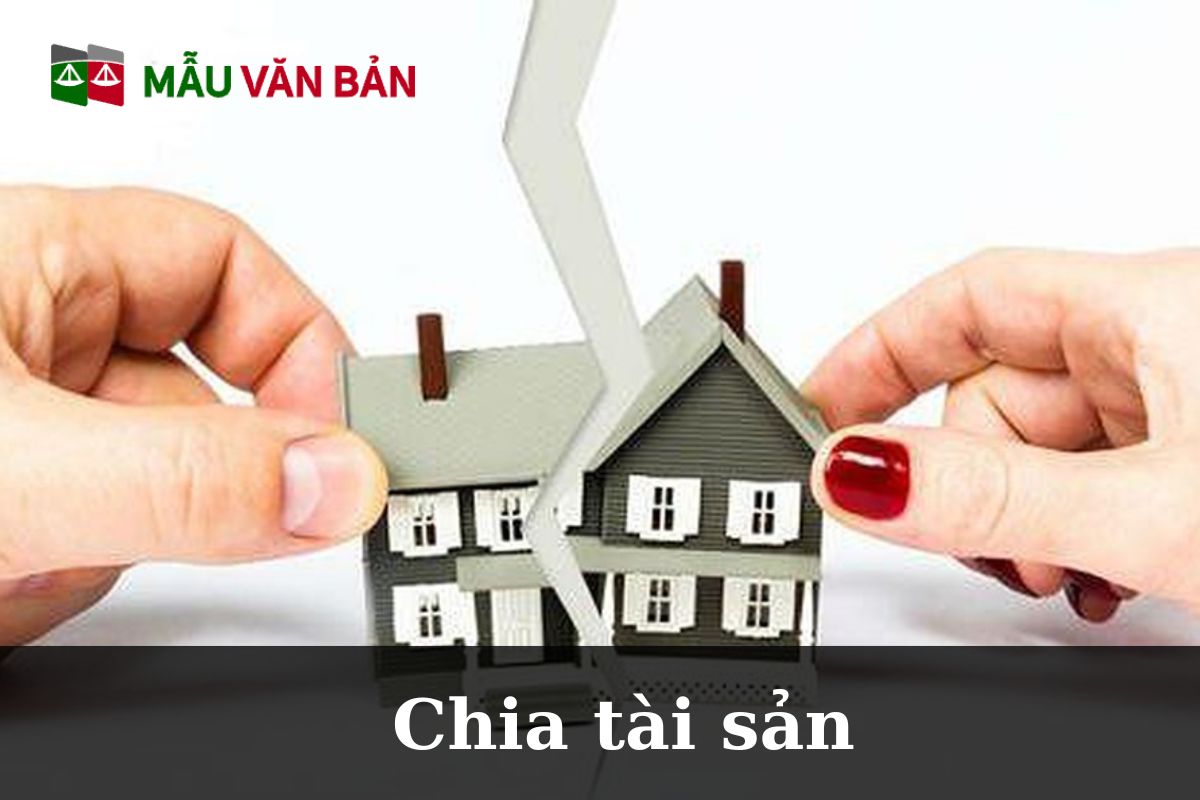 chia tài sản.jpg