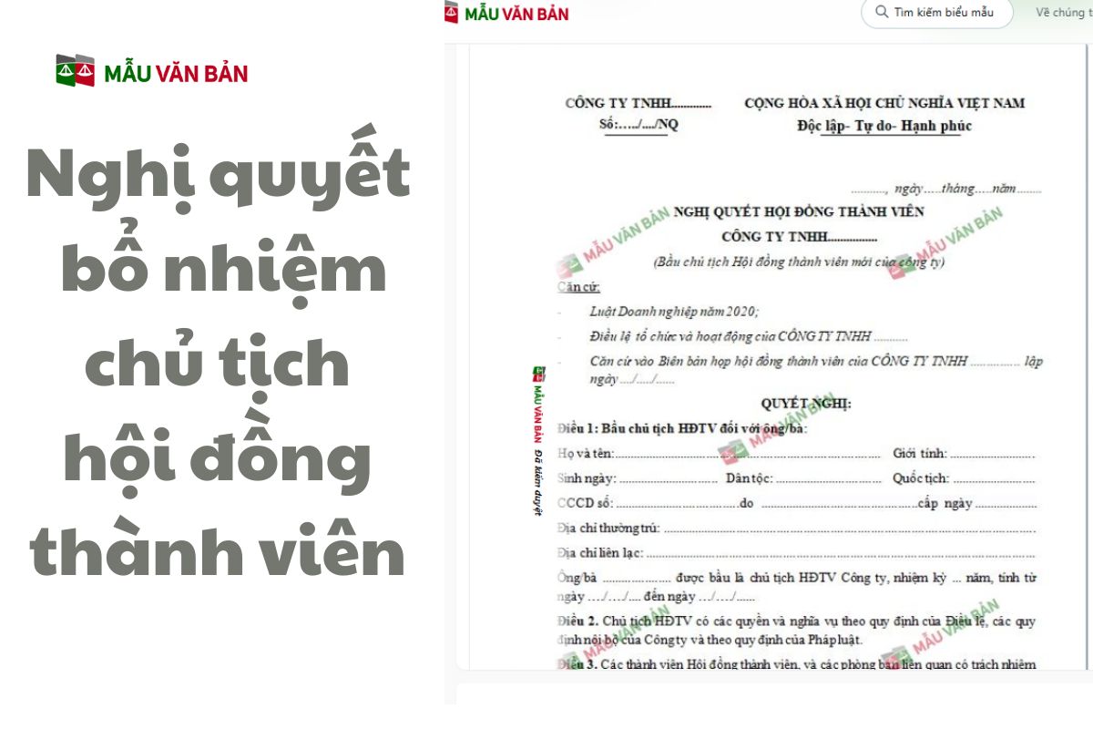 chủ tịch hội đồng thành viên.jpg