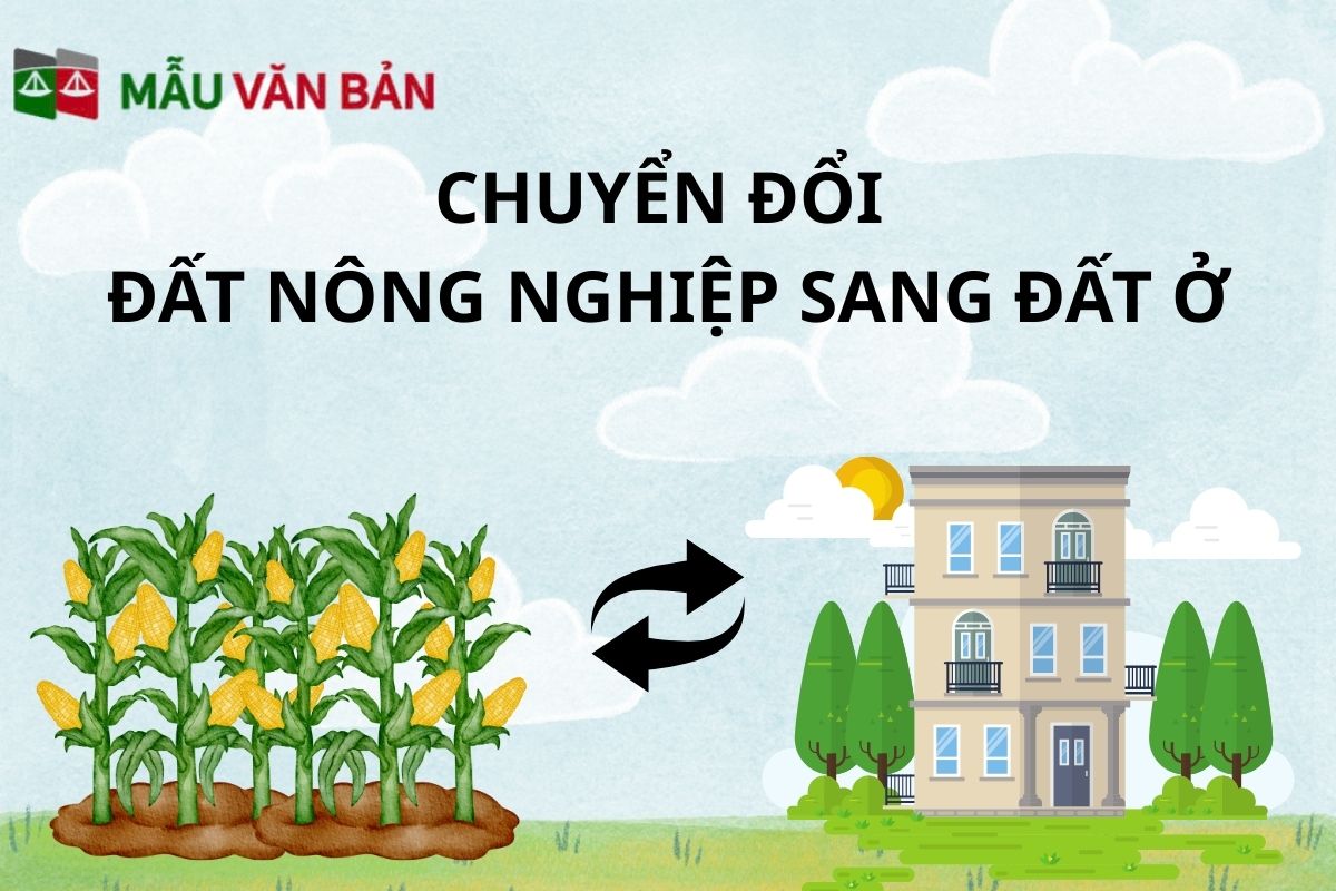 chuyển đổi đất nông nghiệp sang đất ở.jpg