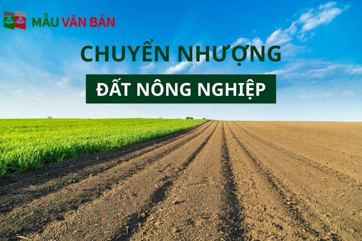 chuyển nhượng đất nông nghiệp.jpg