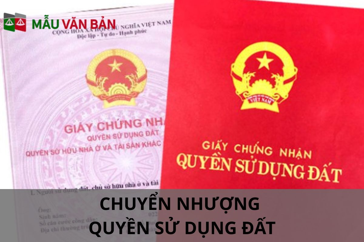 chuyển nhượng quyền sử dụng đất.jpg
