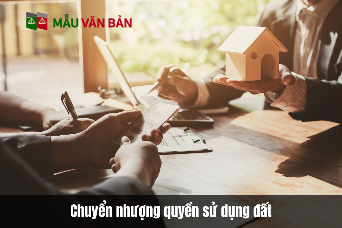 chuyển nhượng quyền sử dụng đất