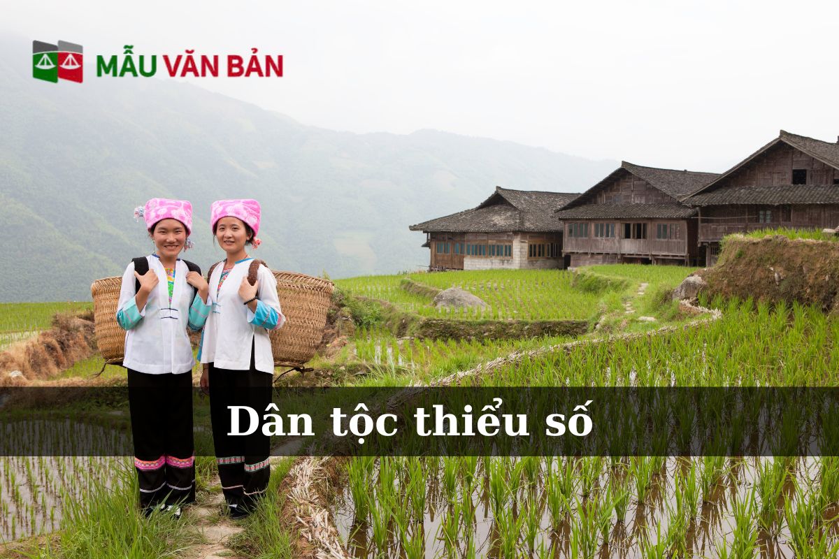 Thực trạng hỗ trợ học sinh, sinh viên dân tộc thiểu số tại Việt Nam