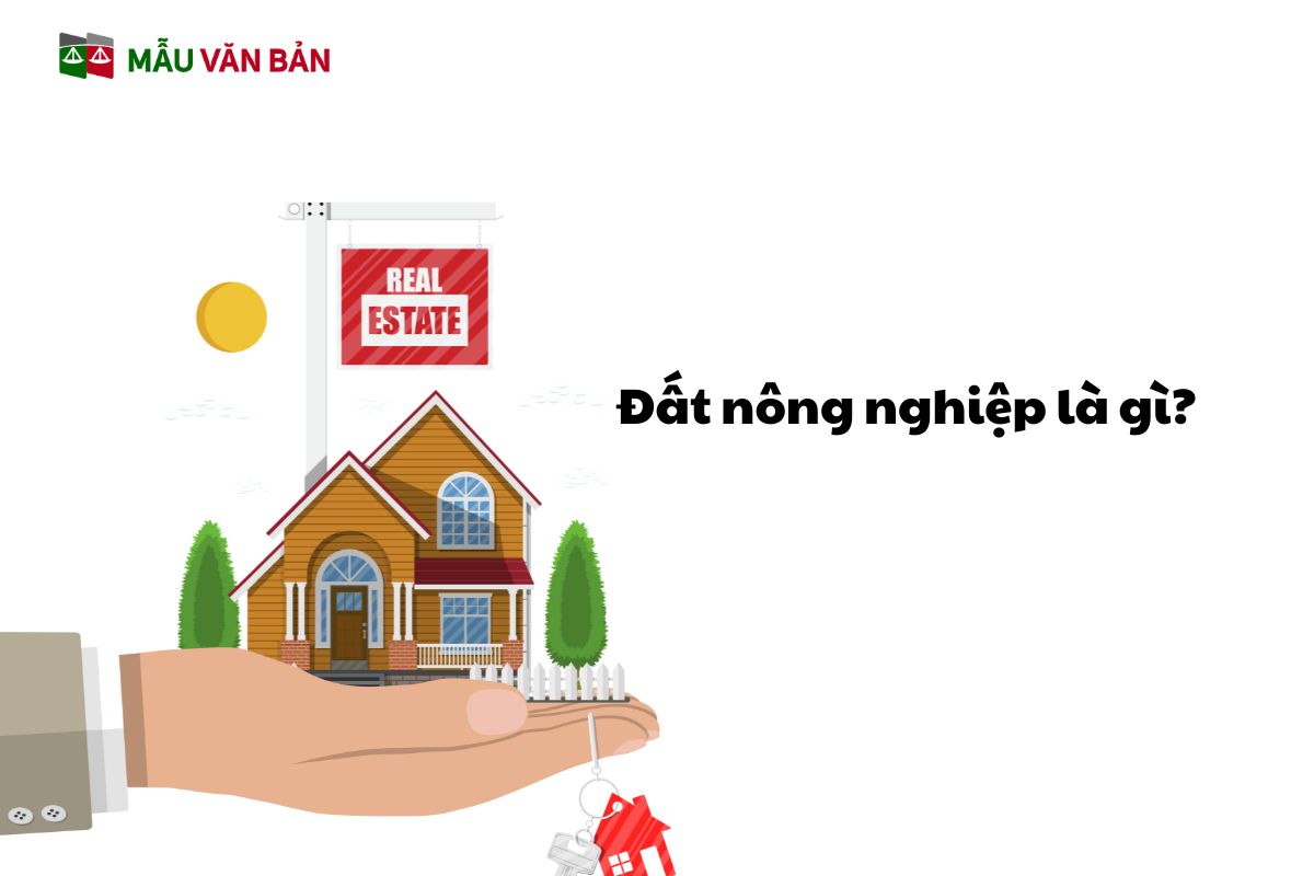 đất nông nghiệp 1.png