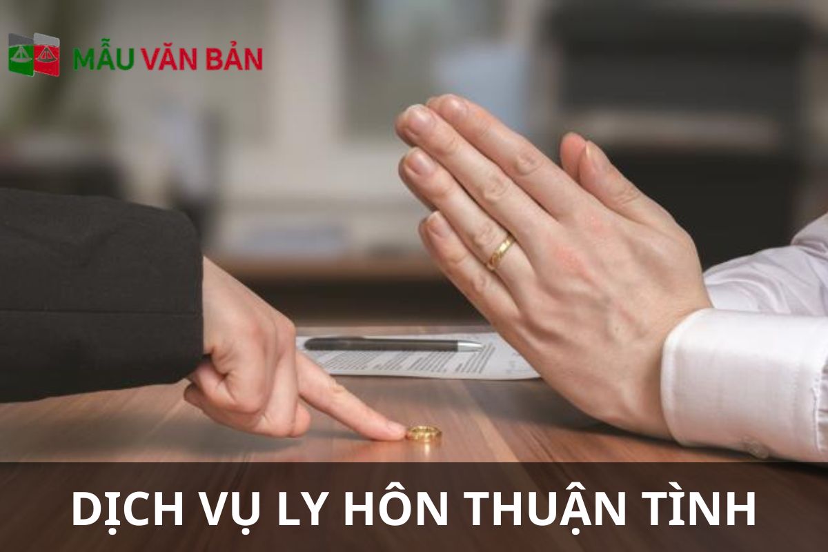 dịch vụ ly hôn THUẬN TÌNH.jpg