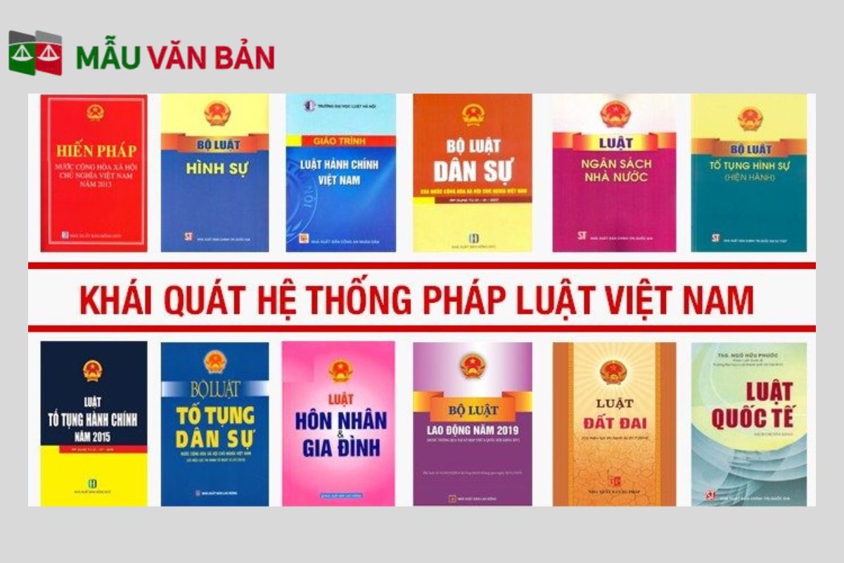hệ thống vppl vn.jpg