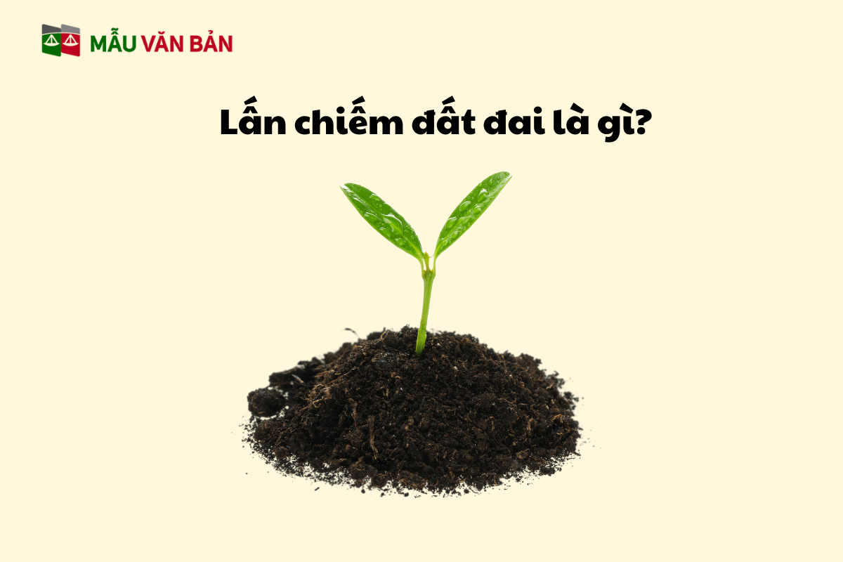lấn chiếm đất 1.png