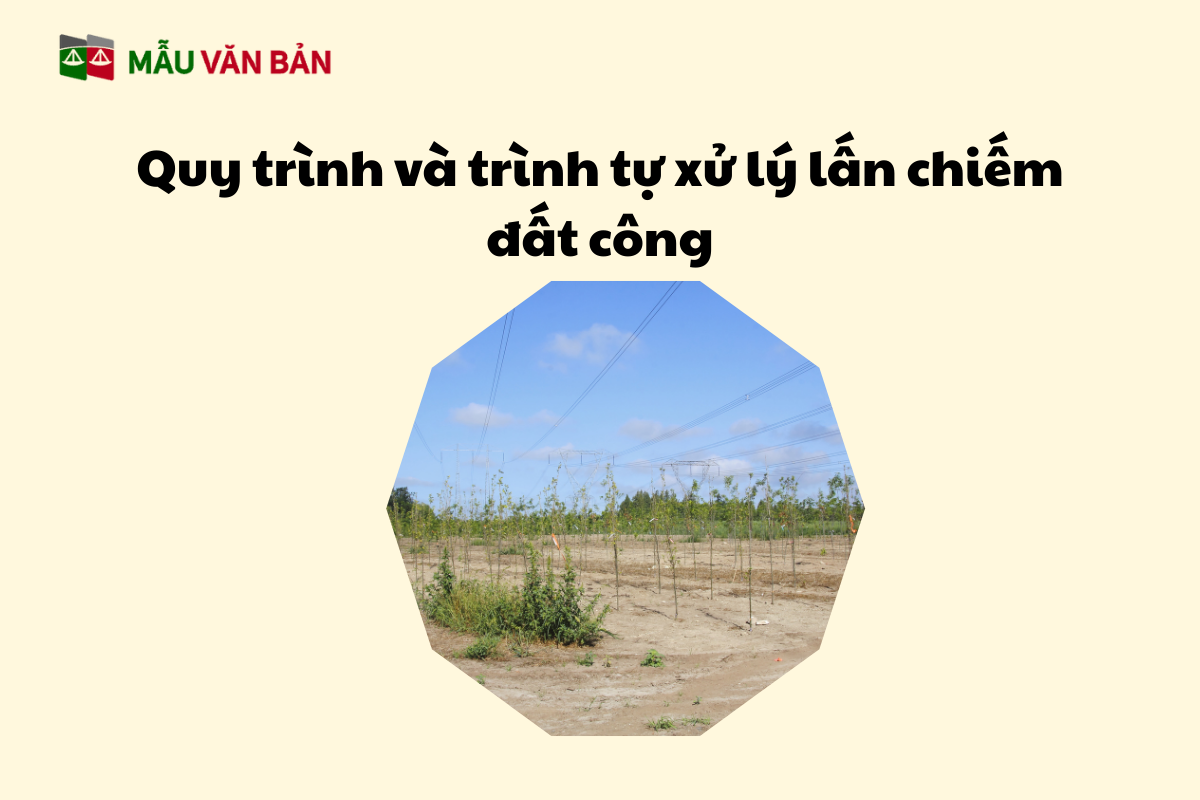 lấn chiếm đất công 2.png