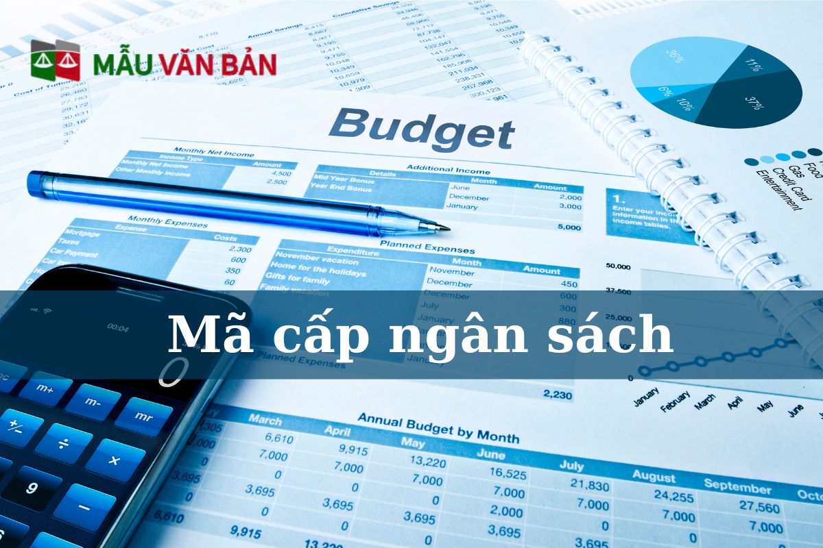 mã cấp ngân sách.jpg