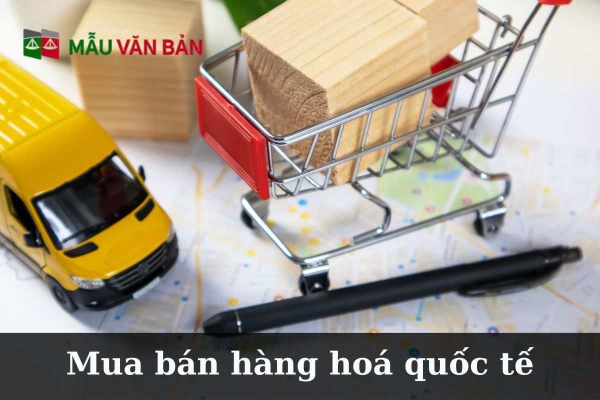 Quy định pháp luật về mua bán hàng hóa quốc tế