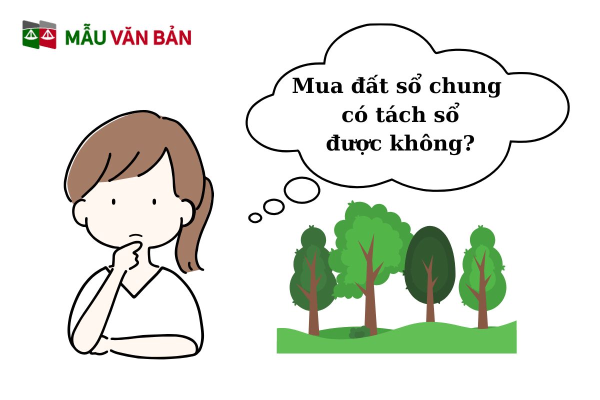 mua đất sổ chung.jpg