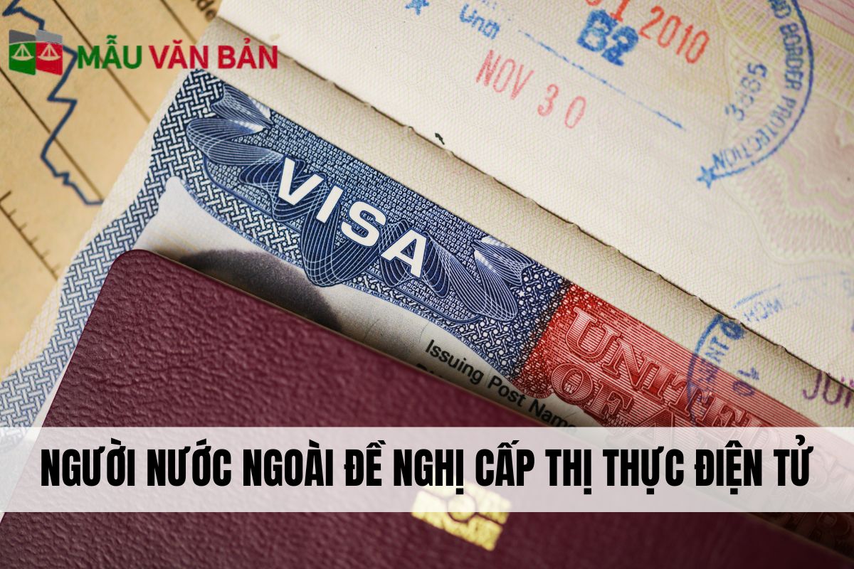 người nước ngoài đề nghị cấp thị thực điện tử.jpg