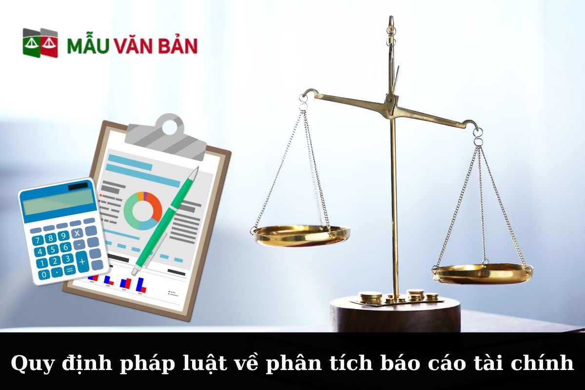 phân tích báo cáo tài chính (2).jpg