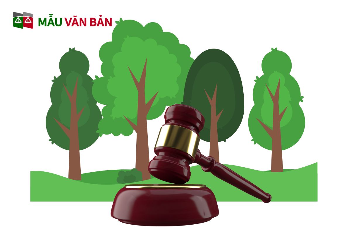 Thực trạng tách sổ đất có nhà ở Việt Nam